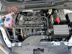 شيري أريزو 5